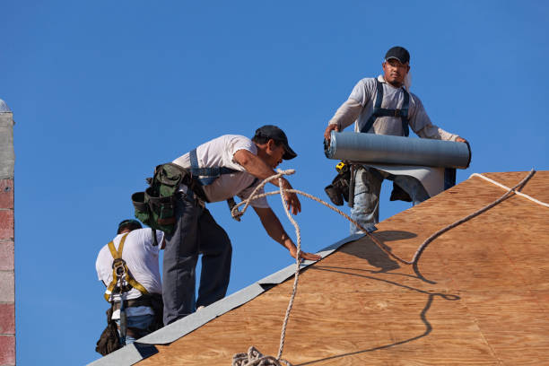 Best Gutter Installation and Roofing  in Oradell, NJ